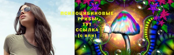 прущий лед Каменногорск
