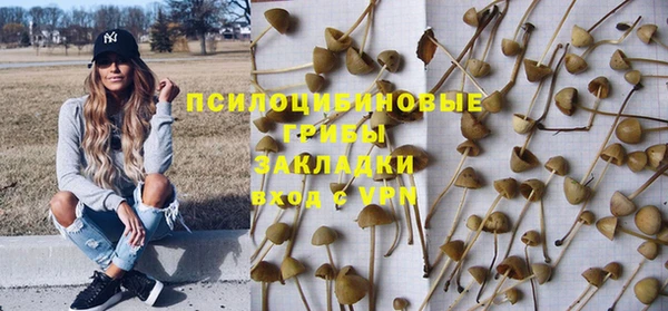 прущий лед Каменногорск