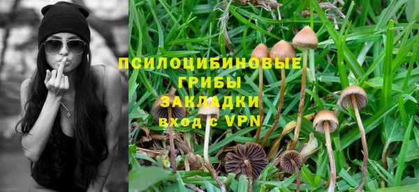 прущий лед Каменногорск