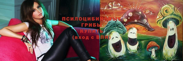 прущий лед Каменногорск