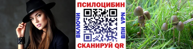 Купить Голицыно Псилоцибиновые грибы ЛСД