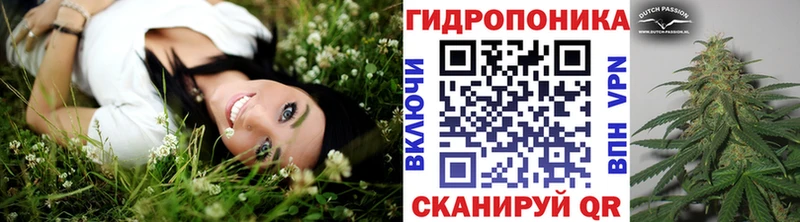 Купить где  Голицыно  Бошки Шишки гибрид 